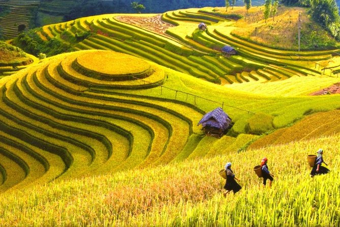 Sapa Trekking Tours - 2 Days 1 Night Stay At Homestay - Homestay Night in Sapa: Shared Rooms, Included Dinner, and What to Expect