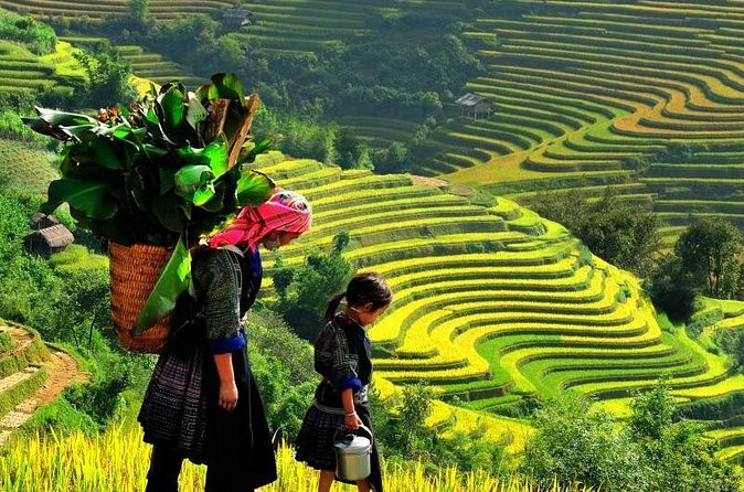 Sapa Trekking Tours - 2 Days 1 Night Stay At Homestay - Day 2 Villages Trek: Y Linh Ho, Lao Chai, Ta Van (Then Back to Hanoi)