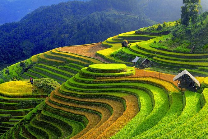 Sapa Trekking Tours - 2 Days 1 Night Stay At Homestay - Food and Included Extras: Lunch, Dinner, Coffee/Tea, and Bottled Water