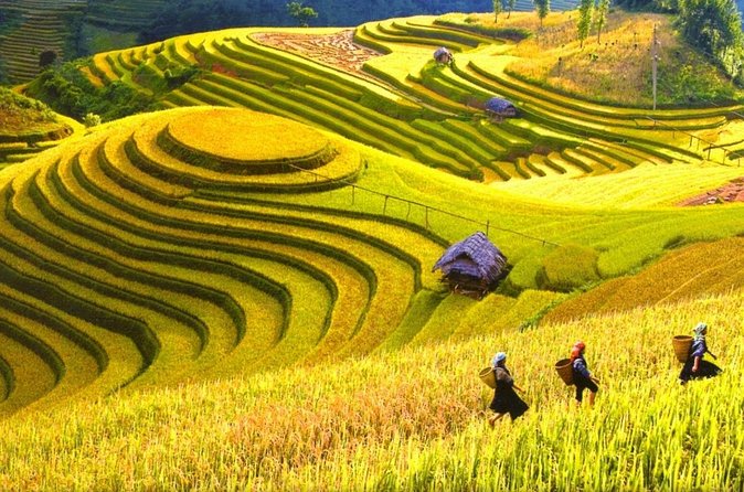 Sapa Trekking Tours - 2 Days 1 Night Stay At Homestay - Price and Value: How $109 Stacks Up for Two Days in Sapa