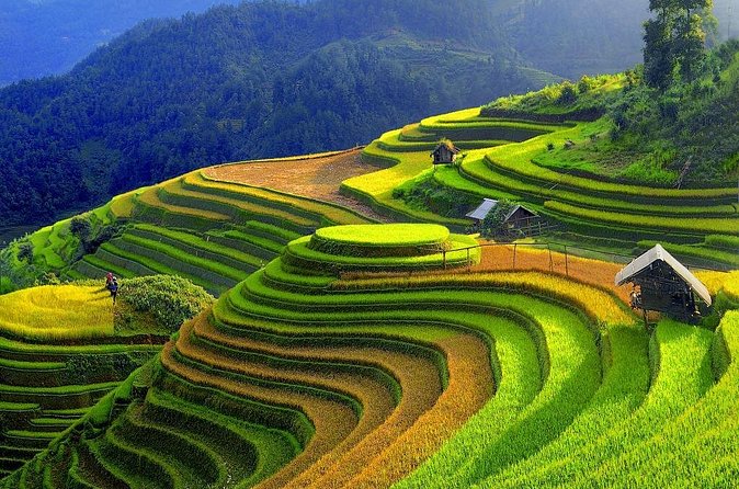 Sapa Trekking Tours - 2 Days 1 Night Stay At Homestay - Who This Sapa Trek Fits Best (and Who Might Skip It)