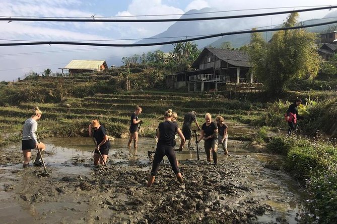 Sapa trekking - Unique Route - 2D1N - Price and Value: Is $116.93 Fair for This 2D1N Plan?