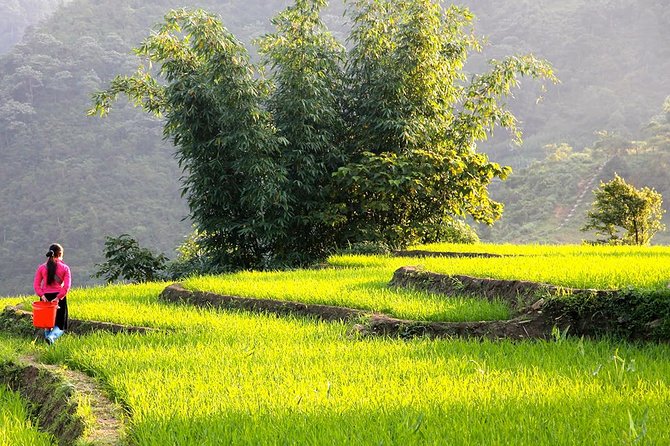 Sapa Valley Trek and Homestay - 3D2N - Price and What You Actually Get for $170