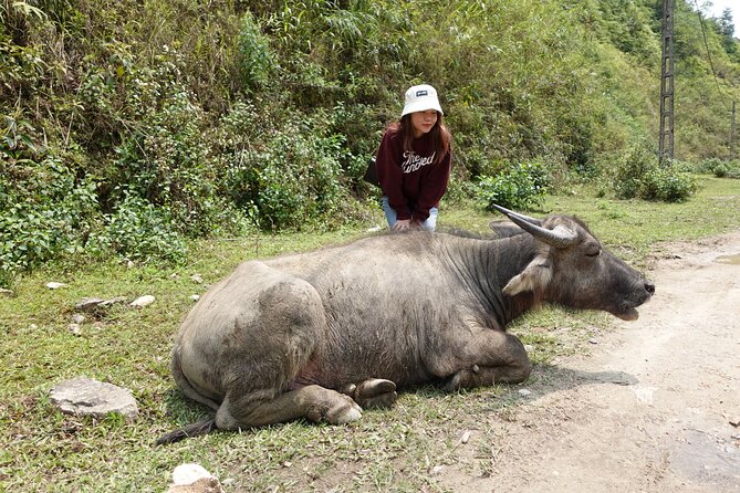 Sapa Valley Trek and Homestay - 3D2N - Day 2: Giang Ta Chai Waterfalls and the Ban Ho Trail Into Red Dao and Tay Territory