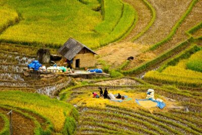 Sapa Villages trekking and homestay 2 Days/ 1 night package tour: best selling - Value check: does $70 cover what matters?