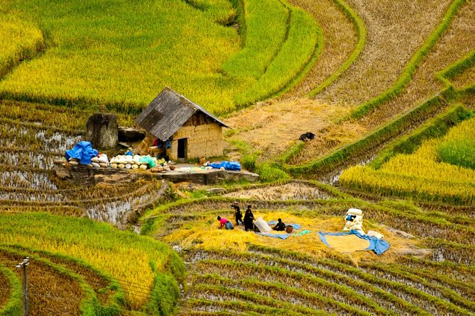 Sapa Villages trekking and homestay 2 Days/ 1 night package tour: best selling - Value check: does $70 cover what matters?