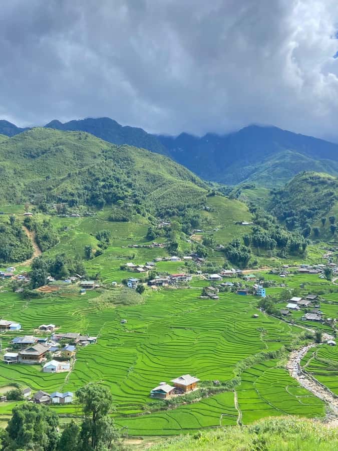 Sapa: Y Linh Ho - Lao Chai, and Ta Van Trekking Day Tour - Key highlights you’ll feel right away