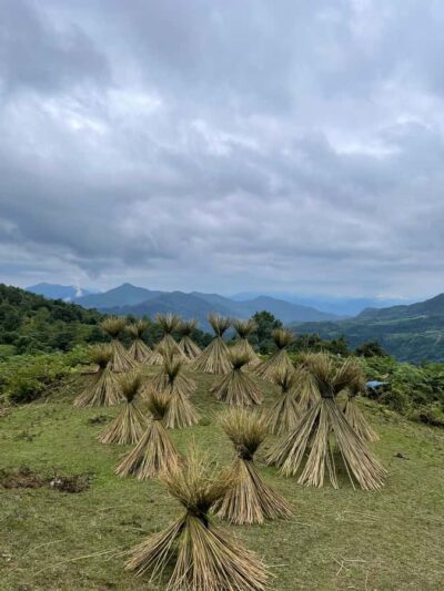 Sapa: Y Linh Ho - Lao Chai, and Ta Van Trekking Day Tour - Y Linh Ho Village: Black Hmong Culture in the Middle of the Rice Fields
