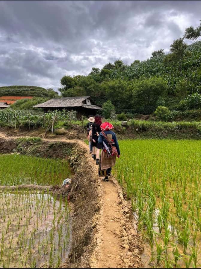 Sapa: Y Linh Ho - Lao Chai, and Ta Van Trekking Day Tour - Who Should Book This One-Day Trek (and Who Should Skip It)?