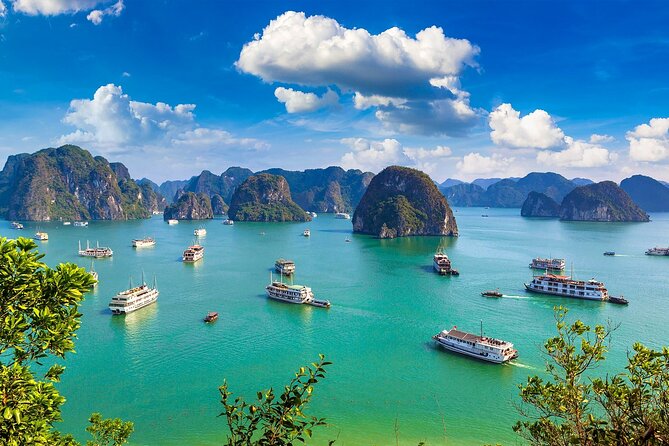 Shore Excursion: Amazing Day Cruise at Ha Long Bay - Meeting at Ha Long International Cruise Port: How the Day Starts