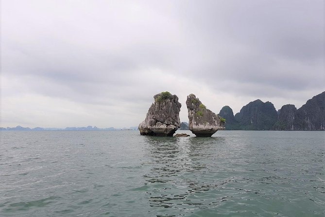 Shore Excursion: Amazing Day Cruise at Ha Long Bay - Price and Value for $89: What You’re Really Paying For