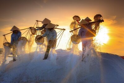 Skip the Line: The Quintessence of Tonkin Ticket (Wed, Sat, Sun) - What You’ll See on the Water: Farmers, Buddhism, and Dragon Boats