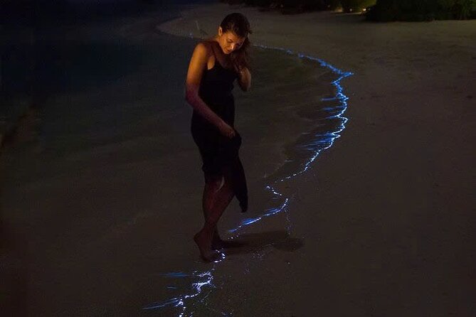 Sunset and Plankton Bioluminescent Night Kayak Lan Ha Bay - Key things I’d circle before you book