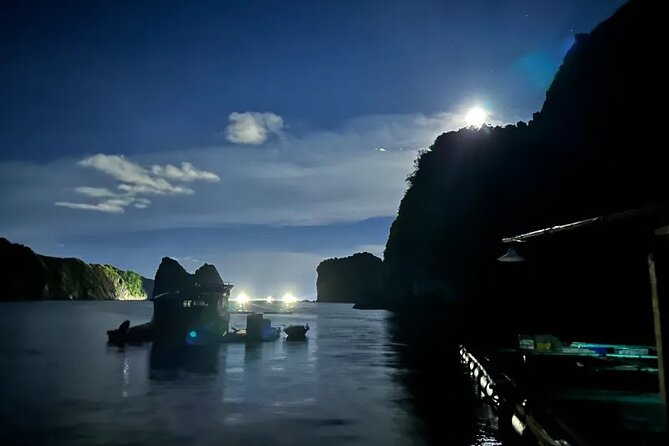 Sunset and Plankton Bioluminescent Night Kayak Lan Ha Bay - Night plankton kayaking: how to get the best shot at real glow
