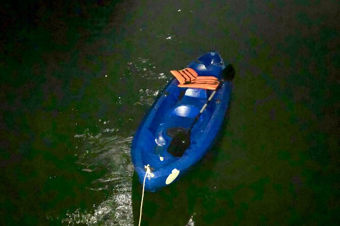 Sunset & Bioluminescent Plankton Kayaking Lan Ha bay - Boat Through Cai Beo Floating Village to Van Boi Beach