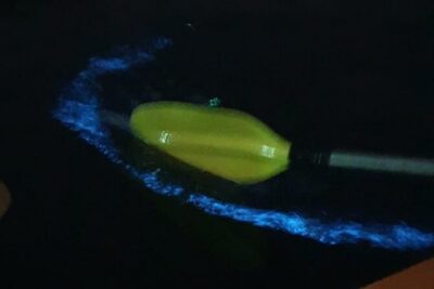 Sunset & Bioluminescent Plankton Kayaking Lan Ha bay - Cat Ba Pickup to Beo Harbour: The Evening Starts at 3:45 PM