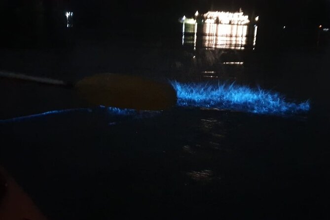 Sunset & Bioluminescent Plankton Kayaking Lan Ha bay - Speed Boat Return and Back to Cat Ba (7:15 PM to 7:30 PM)