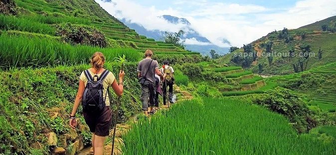 The Best Sapa Tour 2D1N At 3 Star Hotel by sleeping BUS TRANSFER - Hotel, Meals, and the Stuff That Makes Walking Worth It