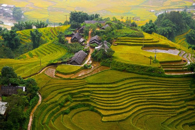 The Best Sapa Tour 2D1N Stay At 3</em> Hotel -Transfer by Sleep BUS – Day 1 in Sapa: market time plus your 3-star base’ /><br />
Day 1 begins with transit, then you arrive in Sapa around midday (about 12:00 is shown after the ~5-hour drive segment, plus a short break). Your first named stop is <strong>Sapa Market</strong>, which is where you can get your bearings fast.</p>
<p><p>I like market time on arrival because it answers the question you usually have in Sapa: where am I, what’s available, and how do people move around day-to-day. It’s also a natural place to see the mix of locals and visitors without needing a perfect plan for the first few hours.</p>
</p>
<p><p>After that, the tour includes a <strong>3-star hotel stay in Sapa village</strong> for the night. You’ll appreciate this if you want a real base to reset. The reviews include comments about comfortable rooms and helpful staff, which matters in a place where you’re going to be walking and sweating (even on “easy” hikes).</p>
</p>
<p><p>What you should watch for: the itinerary details for Day 1 beyond the market aren’t laid out in full here. So don’t book with the expectation that Day 1 is packed with multiple long treks. Think of Day 1 as your arrival-and-orientation day, followed by a more structured walking day on Day 2.</p>
</p>
<h2 id="hiking-hoang-lien-son-trails-what-the-muong-hoa-route-feels-like">Hiking Hoang Lien Son trails: what the Muong Hoa route feels like</h2>
<p><img width="669" height="446" decoding="async" src=