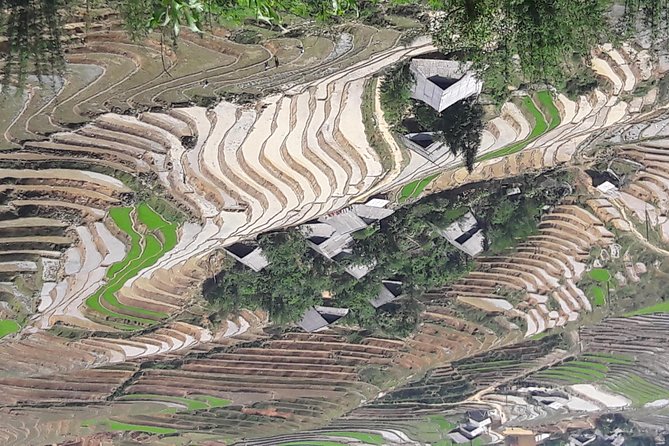 The best view and most authentic tour in Sapa (Non Touristy) - How This Sapa Experience Feels: Local Trails + Sunset on the Cai