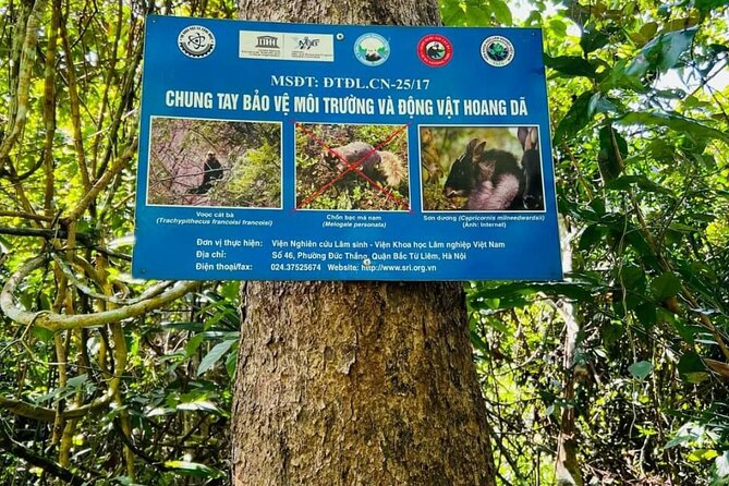 The Hidden Trails of Cat Ba - Morning: The 9km Cat Ba National Park Trek (and Why It Matters)