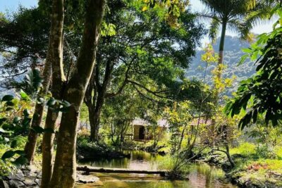 The Hidden Trails of Cat Ba - Viet Hai Village: Valley Life, Simple Meals, Real Pace