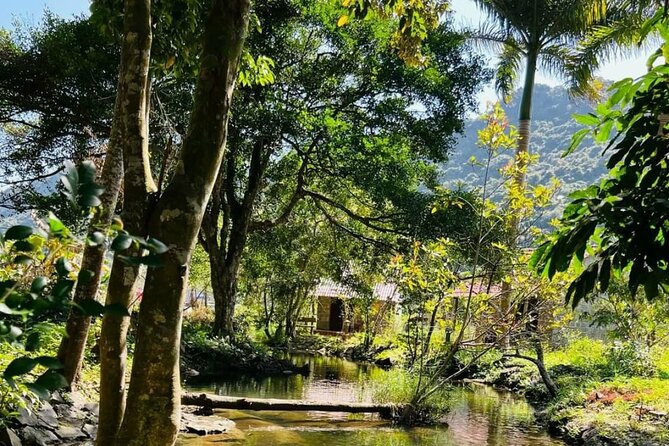 The Hidden Trails of Cat Ba - Viet Hai Village: Valley Life, Simple Meals, Real Pace