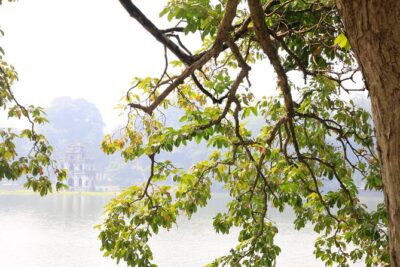 Tour Package Hanoi City - Halong Bay 2 Days 1 Night - The Hanoi-to-Ha Long Bay Transfer Isn’t Just Travel Time
