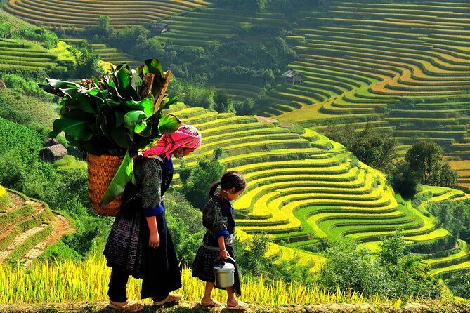 Trek Adventure in Ta Van Village, Lao Chai - A five-hour trek that saves your energy