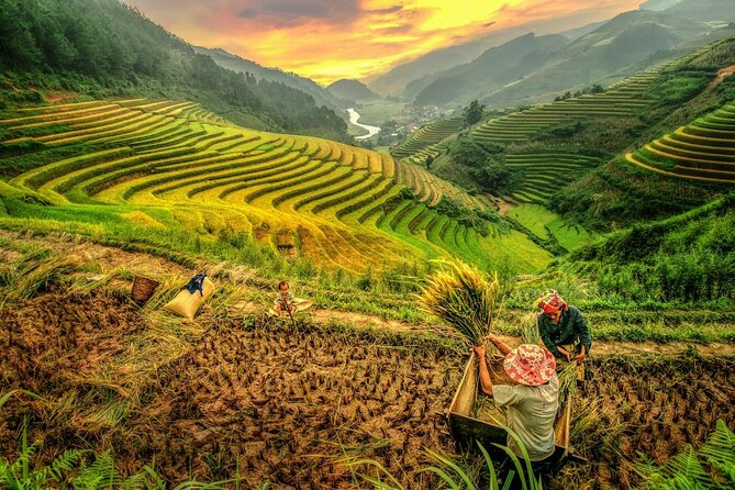 Trek Adventure in Ta Van Village, Lao Chai - Ta Van finish: a ride back that keeps the day short