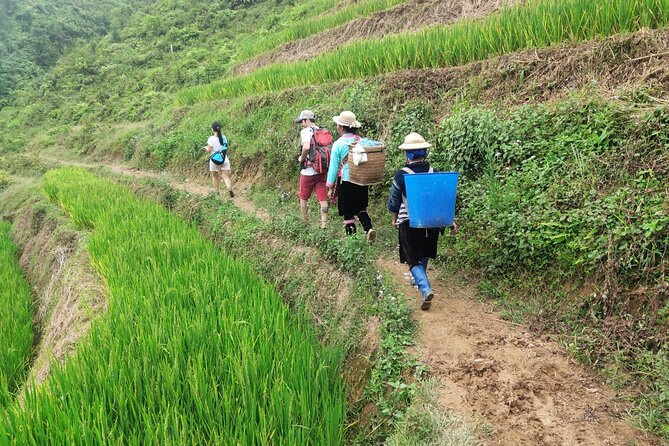Trek Adventure in Ta Van Village, Lao Chai - Who should book this trek?