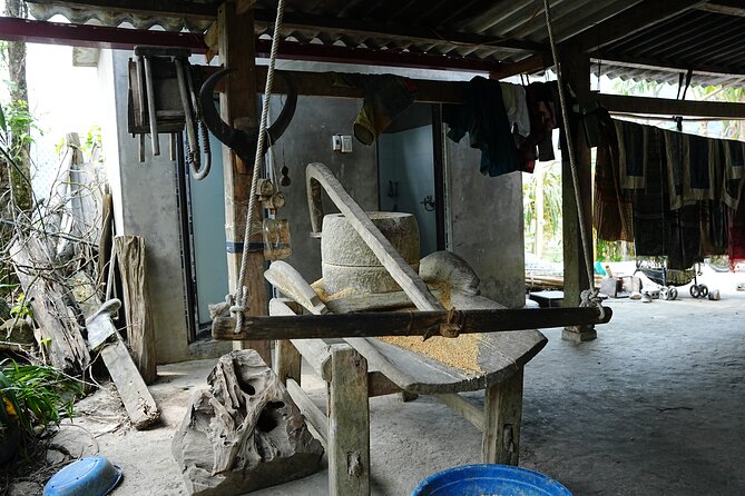 Trekking 1 circle the local village to admire Muong Hoa valley - Hau Thao: rice fields, traditional houses, and a calmer vibe