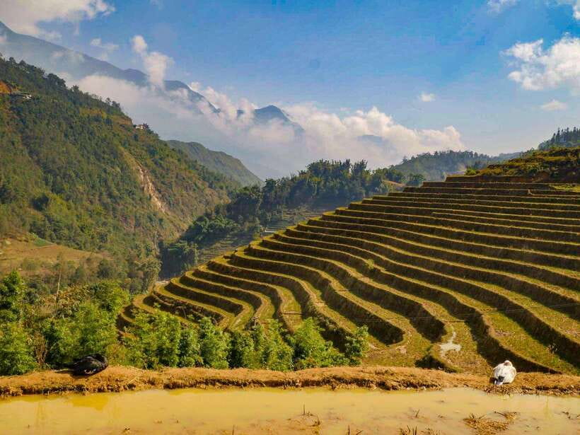 Trekking Sapa 1 Day With Local Guide, Terraced Rice Fields - First Steps in Sapa: Meet Your Guide and Start at 8:00 to 8:30