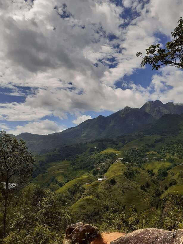 Trekking Sapa 1 Day With Local Guide, Terraced Rice Fields - Climbing Toward the Rice Terraces: Expect Real Elevation and Real Views