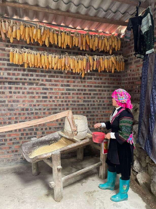 Trekking Sapa 1 Day With Local Guide, Terraced Rice Fields - Y Linh Ho Village: Hmong Traditions, Work, and a Village Lunch