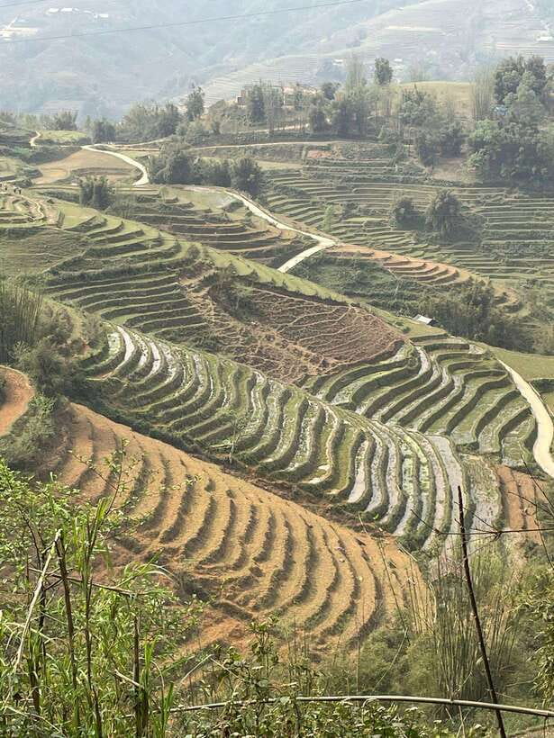 Trekking Sapa 1 Day With Local Guide, Terraced Rice Fields - Ta Van: Giay Culture, Group Learning, and the Ride Back to Sapa