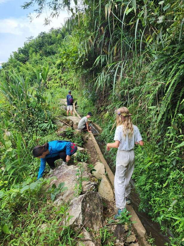 Trekking Sapa 1 Day With Local Guide, Terraced Rice Fields - Cat Cat Road: Bamboo Forest Feel and the Muong Hoa Hanging Bridge