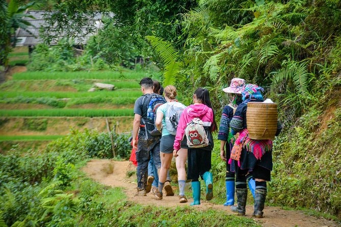 Trekking Through Rice Terraced Fields - 1Day - Pacing and Practical Comfort: 5 to 6 Hours in the Hills