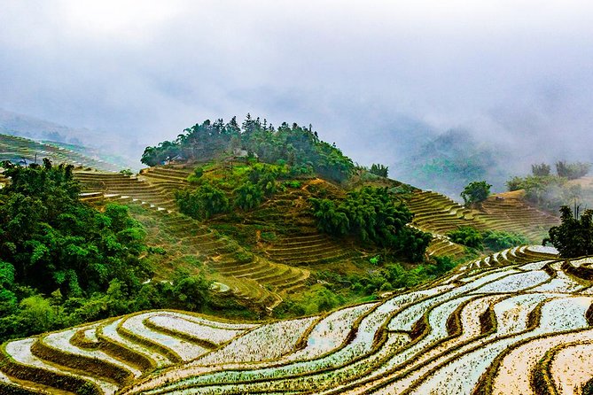 Trekking Through Rice Terraced Fields - 1Day - Price and Value: Is $45 Worth It in Sapa?