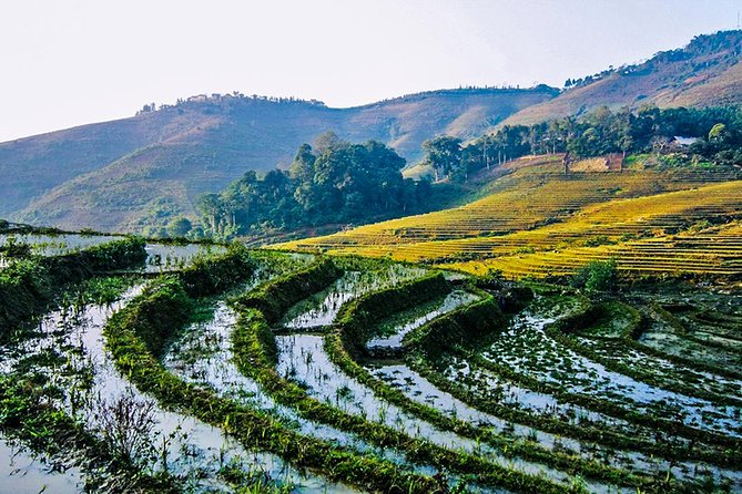 Trekking Through Rice Terraced Fields - 1Day - Who Should Book This Trek Through Rice Terraces?