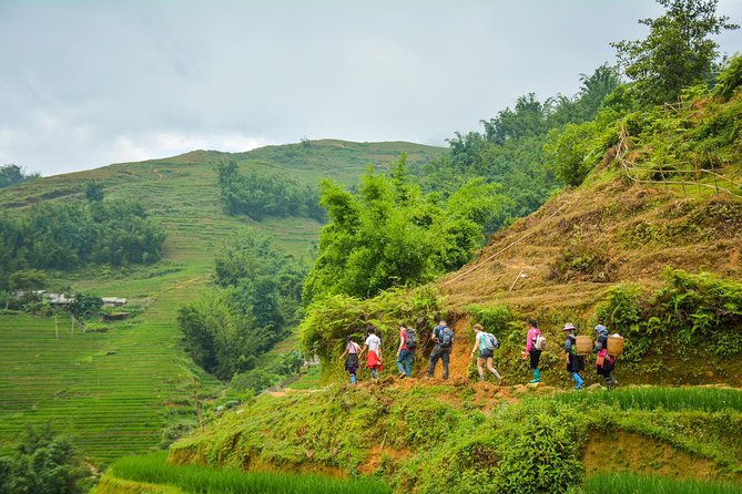 Trekking Through Rice Terraced Fields - 1Day - The Route: Y Linh Ho, Lao Chai, and Ta Van in One Long Day