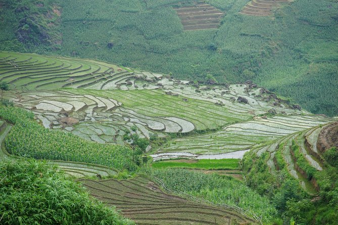 Ultimate Sapa Motorbike Tour: Villages & Waterfalls - Motorbike touring in Sapa: the value of a guided ride