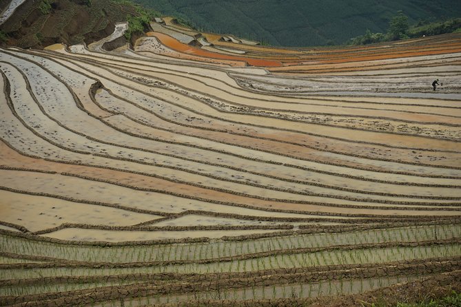 Ultimate Sapa Motorbike Tour: Villages & Waterfalls - Price and Logistics: why $49 can work (or not)
