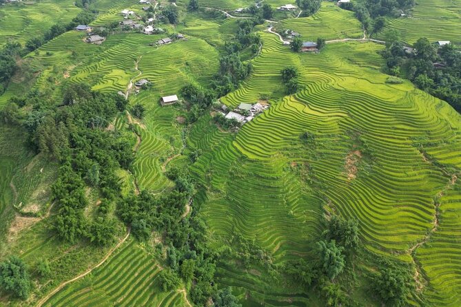 Viet Nam Package Tours - Adventure Indochina Travel - Cam Thanh basket boat in the coconut water forest: hands-on, local-feeling fun