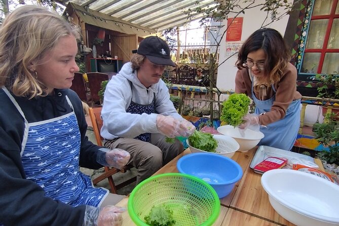 Vietnamese Spring Rolls Cooking Class - Where You Start: Saigonese Trekking House in Sa Pa