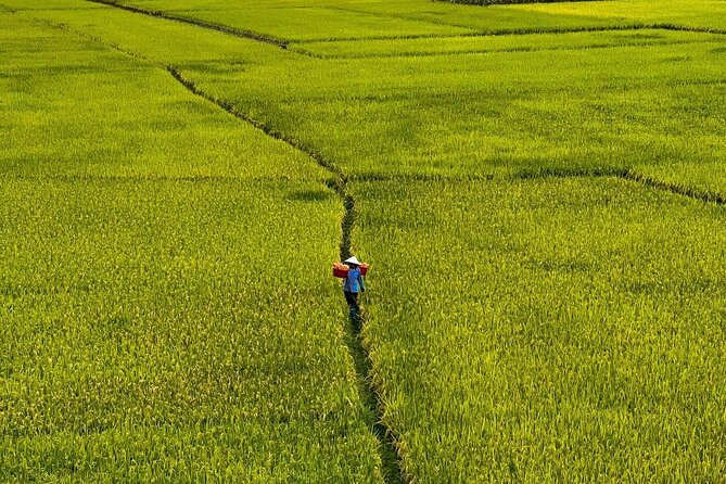 Vietnam’s largest natural freshwater lake - Ba Be Lake Adventure - A Simple AC Transfer to Ba Be Lake and Ba Be National Park