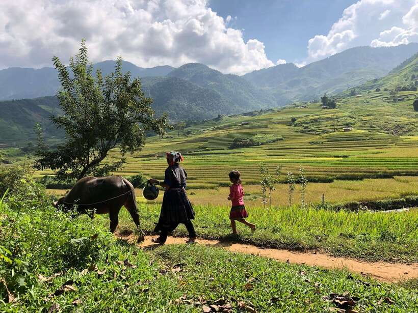 Visit all place in Sa Pa with easy riders - Why this 7-hour Sa Pa loop is such good value