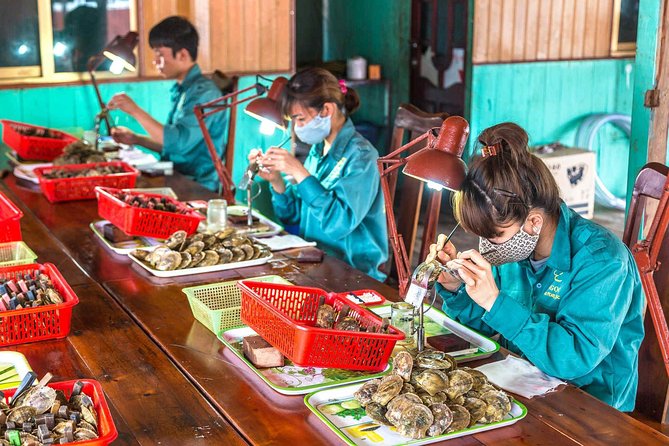 Wellness Detox Journey In Vietnam - Who This Works Best For (and Who Should Rethink It)